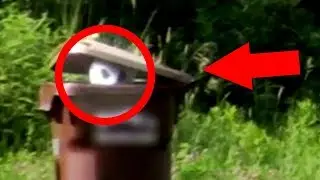 ALIEN CAUGHT ON CAMERA 2018
