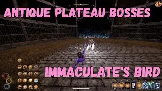 Outward босс Птица иммакулата | Immaculate's Bird