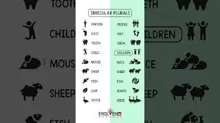 Irregular Plurals in English