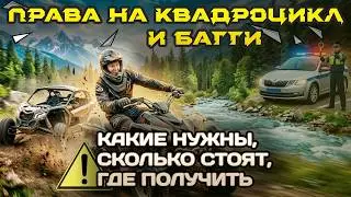 What license is needed for an ATV and buggy, what category is 2026, fines, how and where to get t...
