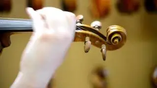Tong Violin Shop