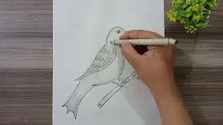 Easy Bird Drawing for Beginners | Step-by-Step Beautiful Bird Sketch Tutorial