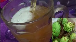 Пиво на диком хмеле!!!