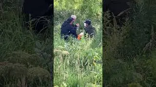 КАРТИНА ДРУЗЬЯ НА ПРИВАЛЕ 