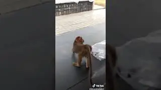 приколы 2019