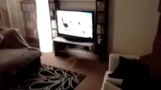 Crazy guy chasing dog