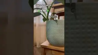 Фикс Прайс 💚 Дома и в применении 