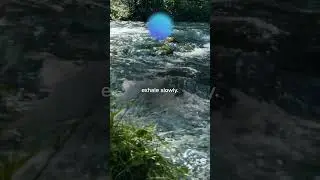 You've stumbled upon Calm River, stay and enjoy the sounds for a minute. 🦦 