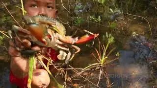 Two little boys find crabs in the forest
