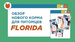 Корм Florida для собак и кошек – хороший? Смотрим состав вместе!