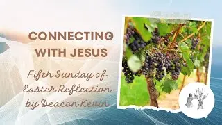 Connecting with Jesus: Finding Our Vine