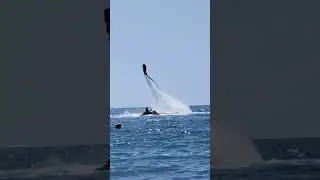 Любовь с первого круга#nature #travel#врекомендации #wildlife#funnyvideo#море#сочи#love#lovestatus