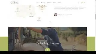 Dionis - Winery and Vineyard WordPress Theme wine store 9