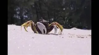 Мир тебе, Земля!