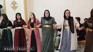 Hozan Tacettin - Barzan ja3far Danishtni