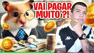 HAMSTER KOMBAT MINHA OPNIÃO SINCERA SOBRE ESSE AIRDROP