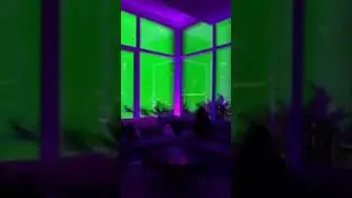 Green Screen Overlays || Green Screen effects Backgrounds 16 || 