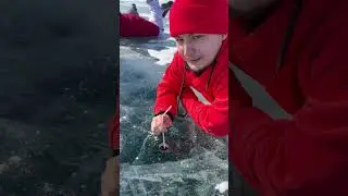 Поцелуй Байкала #байкал #поцелуй #baikallake