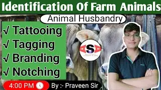 Identification of Farm Animals || By :- Praveen Sir