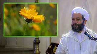 Journey of the Heart: Steps Towards Spiritual Transformation