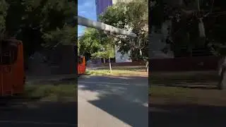 В Оренбурге на ул. Ленинской упала  опора ЛЭП. Движение парализовано.