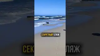Где лучший пляж Калининградской области? 