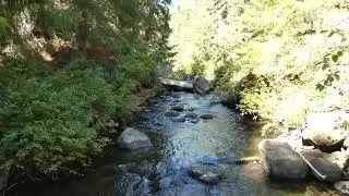 Upper Reaches Of Spencer Creek