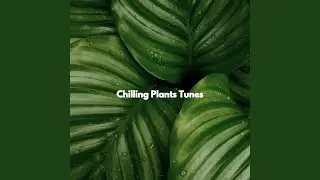 Wondrous Jazzy Weekends