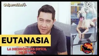 Tuve que DORMIR a mi perro y te explico porqué [Hasta Siempre Coffee]