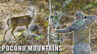 WHERE'D YOU HIT IT? | Pocono Mountains Deer Hunt