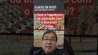 Qual a frequência da adubação com o BOKASHI nas plantas em vaso? 