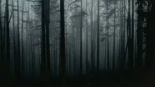 Cannon sound effect