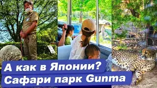 Япония. Сафари парк Gunma.  Japan. Gunma #travel #japan #gunma #япония