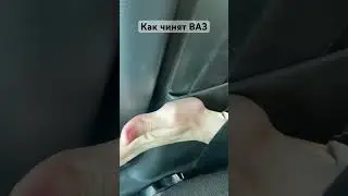 #corolla