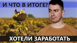 Итоги засухи 2024 года. Считаем урожайность подсолнечника. Рапс. Строительство линии в разгаре.