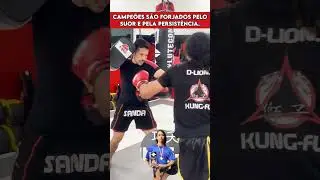 COMO É O TREINO DE UM CAMPEÃO DE LUTA? #sanda