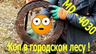 Железо в городском лесу MD - 4030