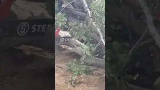 Sterwins Αλυσοπριονο