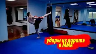 удары из каратэ в ММА | Алексей Пух