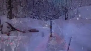 С Новым Годом  2024