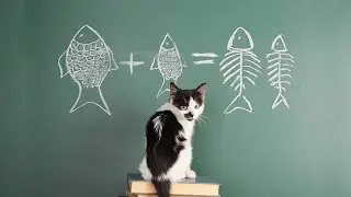 Cute is Not Enough - Funny Cats and Dogs Compilation #270