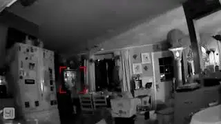 Девушка не поверила своим глазам, увидев запись с камеры наблюдения