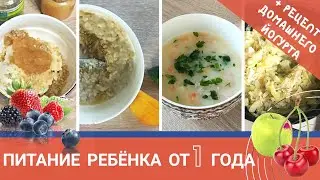 Питание ребёнка от 1-2 лет. Идеи! + РЕЦЕПТ домашнего йогурта.Как ввести взрослую пищу в рацион