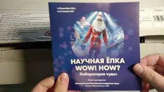 Куклы Найя от Vidal Rojas
