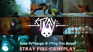 Main Game Stray Sampai Tamat STRAY FULL GAMEPLAY 100% INDONESIA,