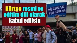 Kürtçe resmi ve eğitim dili olarak kabul edilsin