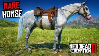 All 5 Rare Appaloosa Horses (Location & Rankings) - RDR 2