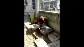 video 2012 08 18 16 18 08