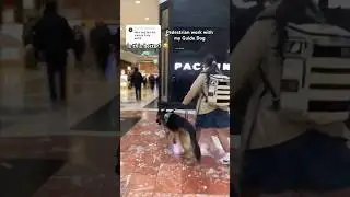 My Guide Dog Navigating the Mall #Humor #GuideDog #ServiceDog #BlindGirl ￼