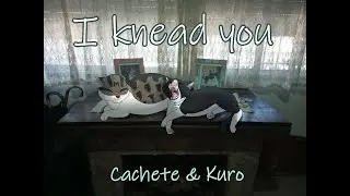 Cachete & Kuro